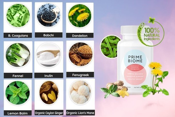 Prime Biome Ingredients