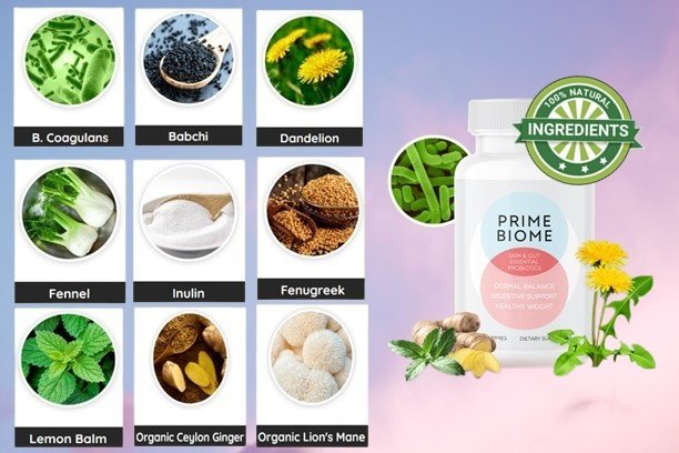 Prime Biome Ingredients